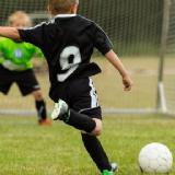 Immagine di Gianluca Giovetti Immagine di Gianluca Giovetti